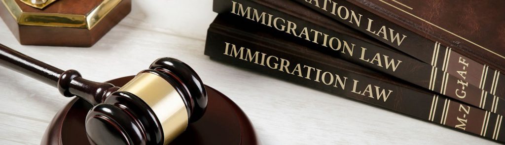 IMMIGRATION LAW – LOS CISNEROS LAW OFFICE